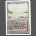 Desolation Regular MTG Proxy | Arabian Nights