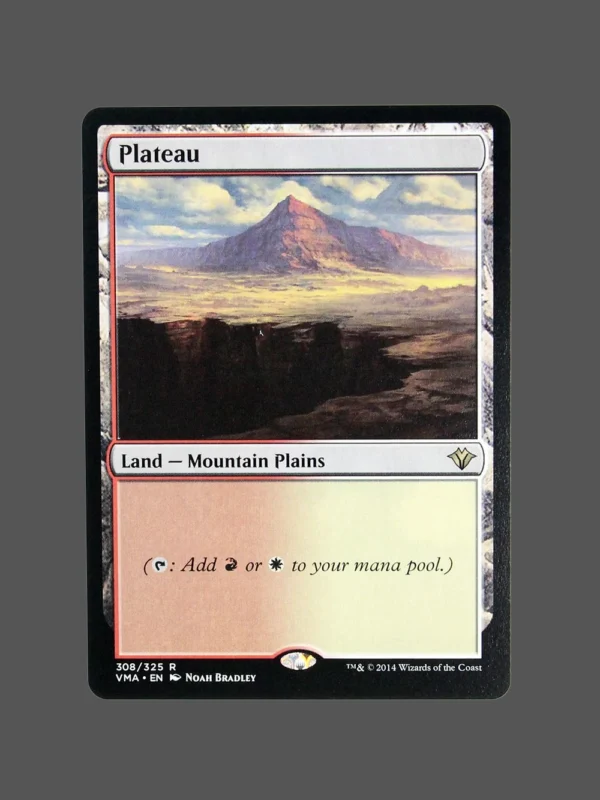 Plateau Holo MTG Proxy | Visions