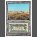 Steppa Regular MTG Proxy | Alliances