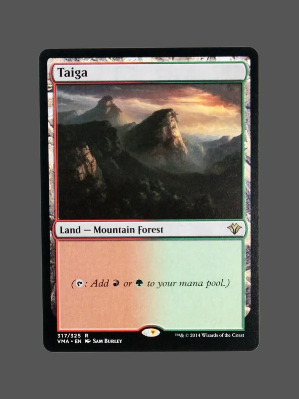 Taiga Holo MTG Proxy | Visions