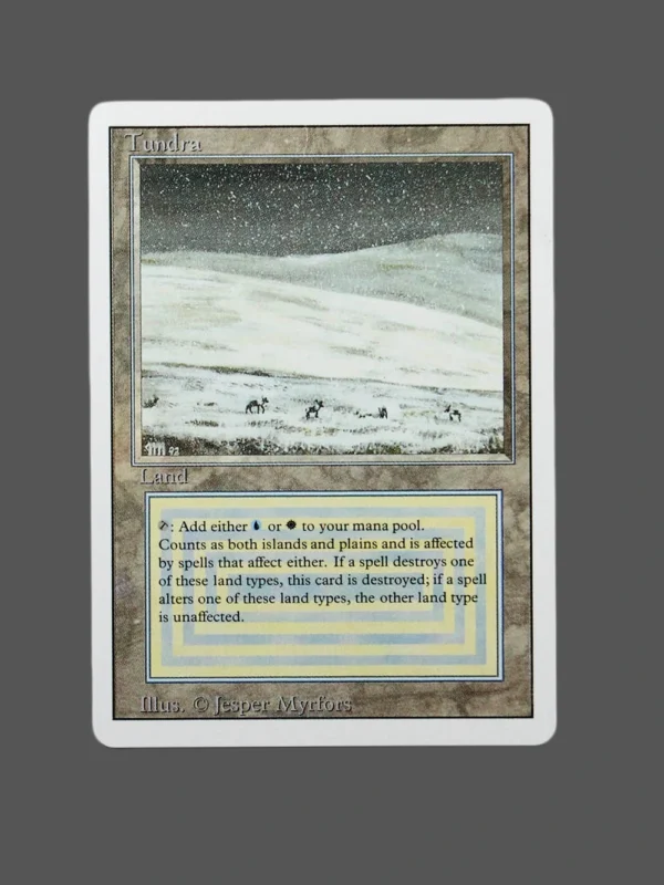 Tundra Holo MTG Proxy | Magic 2014