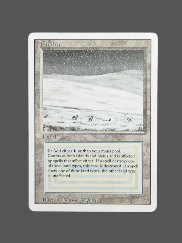 Tundra Regular MTG Proxy | Magic: The Gathering