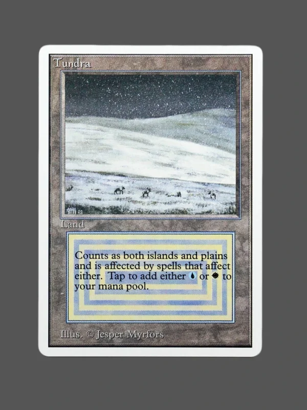 Tundra Regular MTG Proxy | Magic: The Gathering