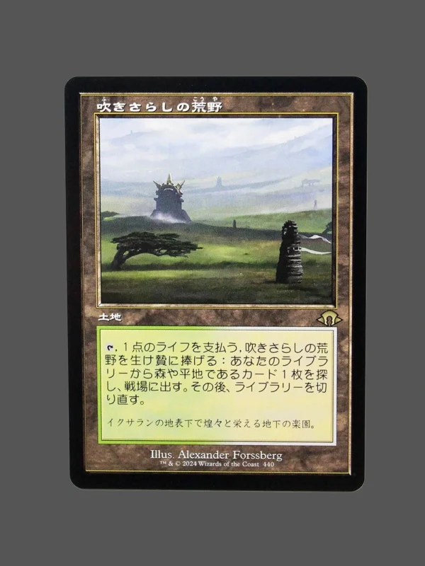 Windswept Heath (吹きさらしの荒野) Regular JP MTG Proxy | Magic: The Gathering