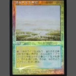 溢れかえる岸辺 Foil MTG Proxy | Weatherlight