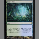 Foggy Rainforest (霧深い雨林) Regular MTG Proxy | Morningtide