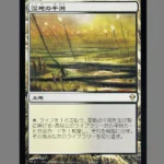 湿地の干潟 Regular MTG Proxy | Champions of Kamigawa
