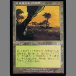 Windswept Heath (吹きさらしの荒野) Regular MTG Proxy | 8th Edition
