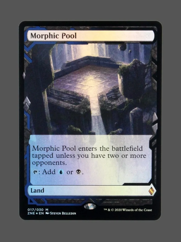 Morphic Pool Foil MTG Proxy | Zendikar Rising Expeditions
