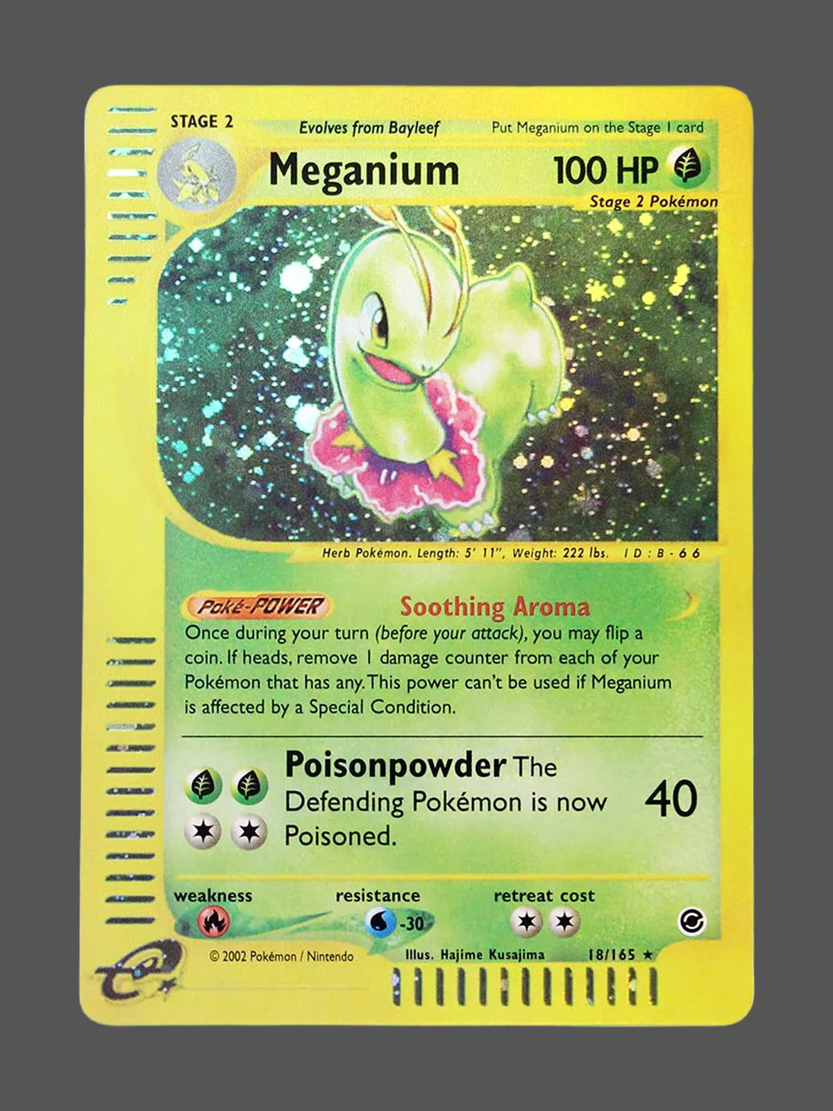 meganium-18-ex-en.webp Meganium Regular Pokemon proxy card from Expedition #18